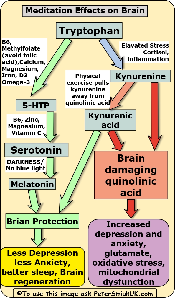 Don’t take tryptophan 5 HTP until you read this